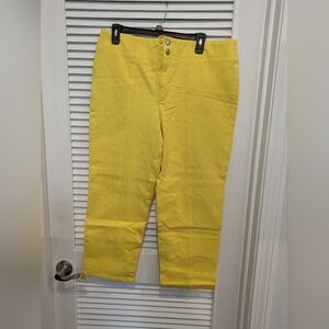 Women's Size 16 Pants New